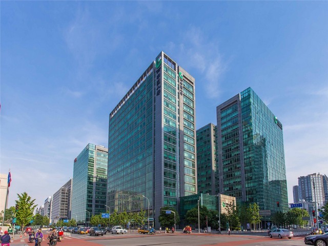 河南叶底盘茗标培训